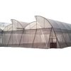 Naturally Ventilated Poly House with Erection