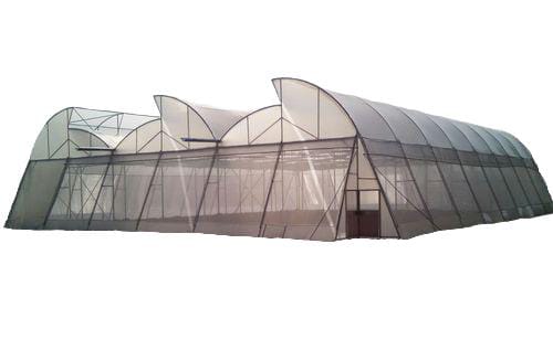 Naturally Ventilated Poly House with Erection
