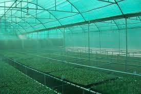 Agriculture Net House available in all sizes