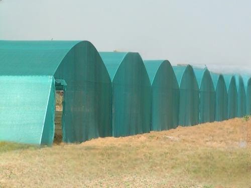 Agriculture Net House available in all sizes