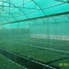 Agriculture Net House available in all sizes