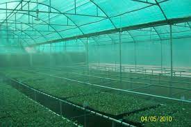 Agriculture Net House available in all sizes