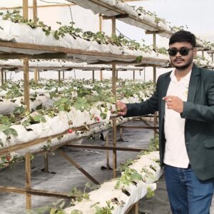 Vertical Strawberry Full Details with Study Book