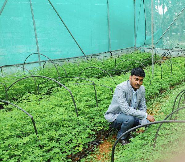 Horizontal Moringa Drumstick Project Costings Details